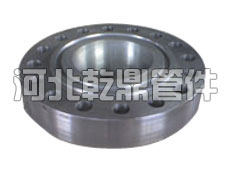 對焊法蘭(環連接)